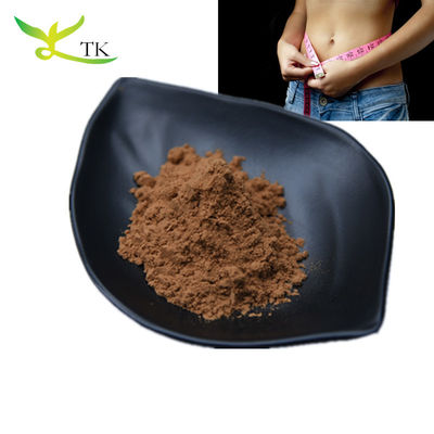 Wholesale 100% Natural Weight Loss Powder Lotus Leaf Extract Powder 10:1 Food Grade