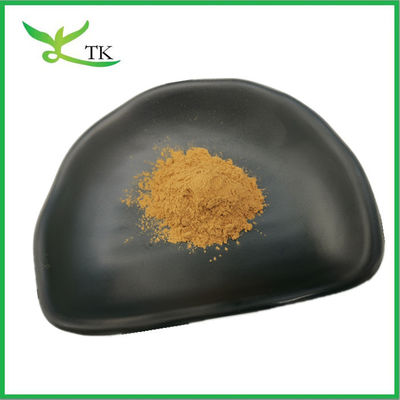Natural Plant Extract Powder Malt Extract Powder Barley Malt Extract 10:1