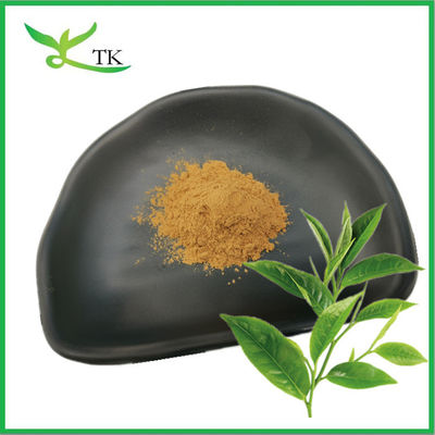Food Grade Green Tea Extract 20%, 40% L-Theanine Powder Natural L-Theanine Supplement