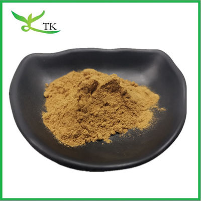 100% Natural Mugwort Leaf Extract Artemisia Argyi Aiye Leaf Extract Powder Aiye Extract