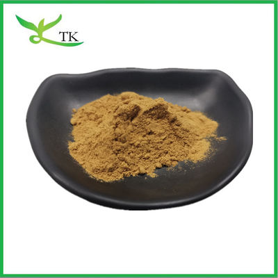 Wholesale Bulk Price Burdock Root Extract Arctiin Powder 10% 30% Healthcare Supplements