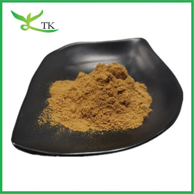 Best Price 100% Natural Chaste Tree Berry Extract Chasteberry Extract Powder 10:1