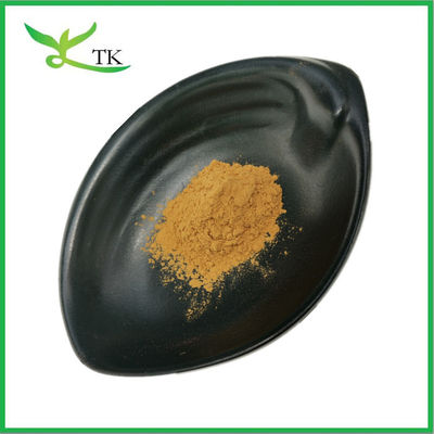 Food Grade100% Natural Kakadu Plum Extract Powder Vitamin C Supplements