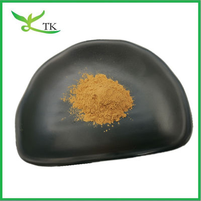 Natural Poria Cocos Extract Polysaccharide 30% Poria Cocos Extract Powder Food Grade