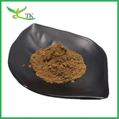 Wholesale Price Food Grade Black Tea Extract Powder For Beverage And Drink