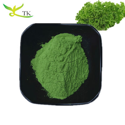 Natural Super Food Powder Herbal Supplement 10:1 20:1 Kale Extract Powder Bulk