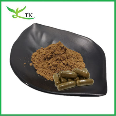 Natural Plant Extract Powder Aswagandha Extract 10:1 Ashwagandha Root Extract
