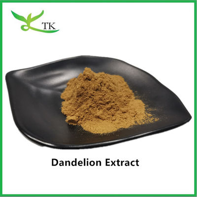 Natural Dandelion Extract 5% Dandelion Root Extract Powder Flavonoids