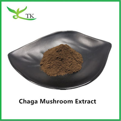 Natural Healthcare Supplement Mushroom Extract Chaga Extract Powder Chaga Polysaccharide 20%