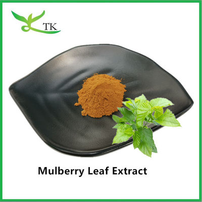 Natural Food Grade 1-deoxynojirimycin 1% 1-DNJ Mulberry Leaf Extract Powder