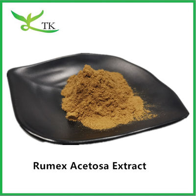 Wholesale Price 100% Natural Herbal Extract Rumex Acetosa L. Extract Powder