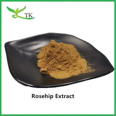 100% Natural Food Grade Rosehip Extract Powder Rose Hip Fruit Extract Powder