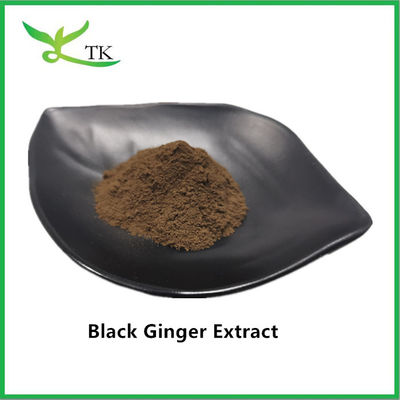 Pure Natural Healthcare Ingredient Black Ginger Extract Powder For Men