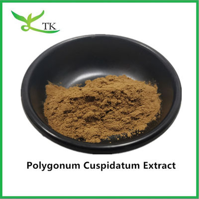 Pure Natural Plant Extract Giant Knotweed Polygonum Cuspidatum Extract 20% Resveratrol