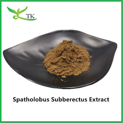 100% Natural Caulis Spatholobi Extract Powder Spatholobus Suberectus Extract