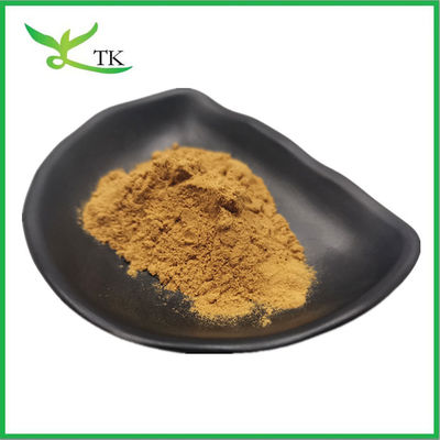 100% Natural Plant Extract Salix Alba Extract White Willow Bark Extract Salicin 10%~98%