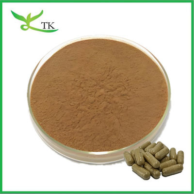 Pure Natutal Plant Extract Uncaria Tomentosa Cat'S Claw Extract Powder Uña de gato