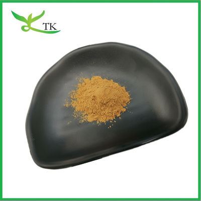 Food Grade Natural Wheat Germ Extract Powder 10:1 20:1 in Bulk