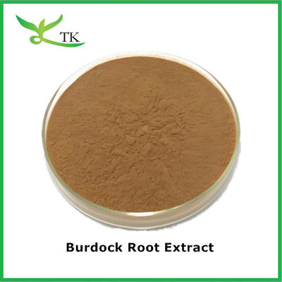 Herbal Supplement Arctium Lappa Extract Burdock Extract Powder Water Soluble