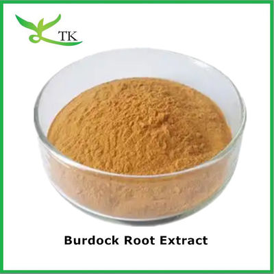 Natural Botanical Herbal Powder Arctium Lappa Root Extract Burdock Root Powder