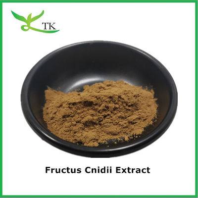 Pure Natural Herbal Supplement Supplement 10:1 20:1 Fructus Cnidii Extract Powder