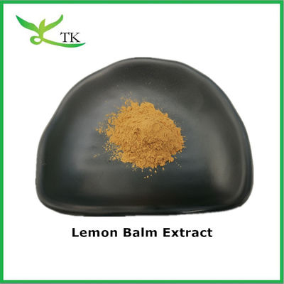 Pure Natural Lemon Balm Extract Lemon Balm Dry Extract Powder