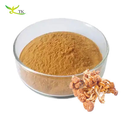 Food Grade Pure Natural Pholiota Nameko Extract Polysaccharides Powder