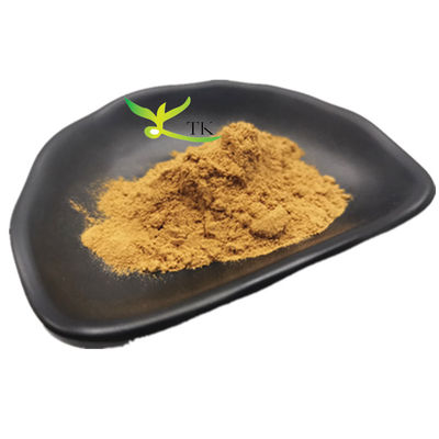 Wholesale Price Food Grade Galangal Extract Galangal Root Extract Powder