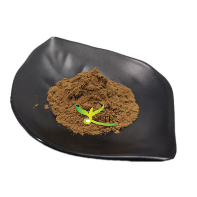 Natural Fucoidan Powder Brown Seaweed Extract Fucoidan Price