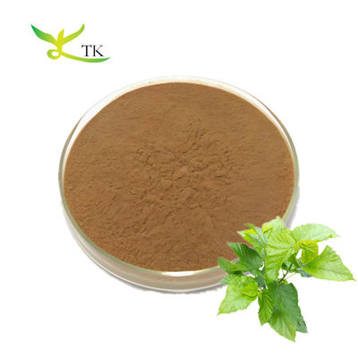 Wholesale Price Food Grade Morus Alba Extract Morus Alba Leaf Powder