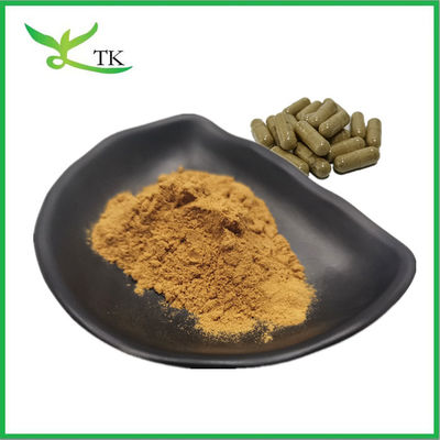 Natural Alga Extract Wakame Extract Fucoidan Fucoxanthin For Healthcare Supplements