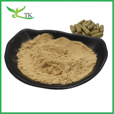 Wholesale Price Natural Food Grade Brown Seaweed Extract Kelp Extract Powder Bulk