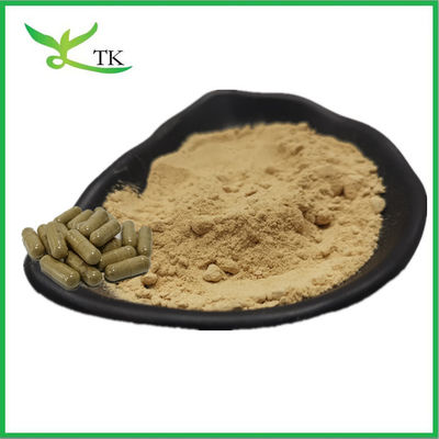 100% Natural Food Grade Laminaria Japonica Extract Kelp Extract Powder