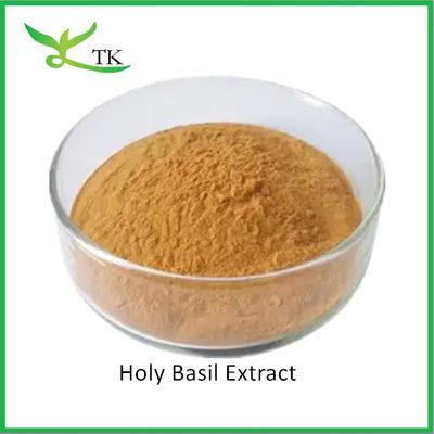 Natural Food Grade Holy Basil Extract Powder Holy Basil Leaf Extract Powder