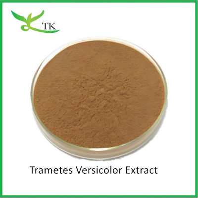 Pure Natural Mushroom Extract Powder Trametes Versicolor Extract Powder