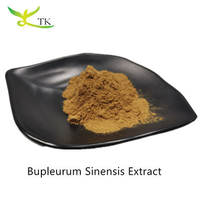 Natural Traditional Chinese Medicine Extract Bupleurum Sinensis Extract Powder Chai Hu Extract