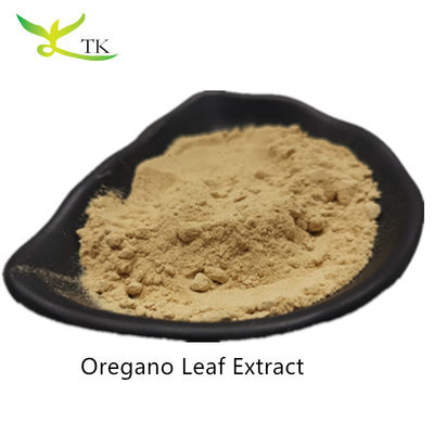 Wholesale Price 100% Natural Oregano Extract Powder Oregano Leaf Extract
