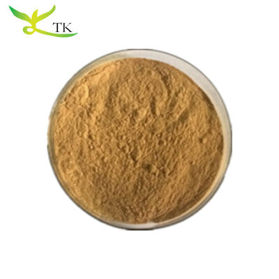 Natural Herbal Extract 10:1 20:1 Sassafras Extract Powder Sassafras Root Bark Extract Powder