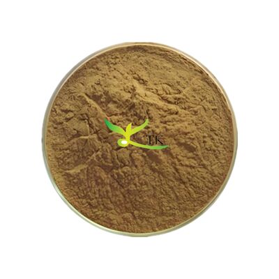Natural Plant Extract High Quality Uncaria Gambir Extract Powder Rhynchophylline Uncaria Gambir Powder