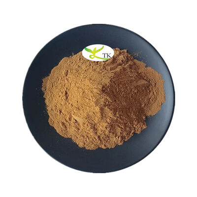 Natural Plant Extract Powder Gromwell Root Extract Powder 4:1 10:1