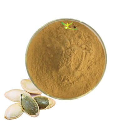 100% Natural Pumpkin Seed Extract Powder Pumpkin Seed Extract 10:1