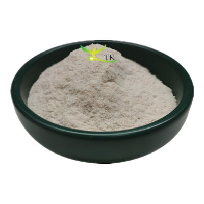 Wholesale Price Natural Apple Peel Extract Ursolic Acid Powder 50% 98% Food Grade