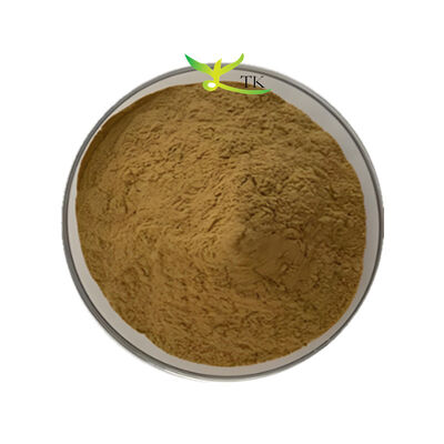 Factory Supply Bacopa Monnieri Extract 40% Bacopasides Powder Brahmi Extract Powder