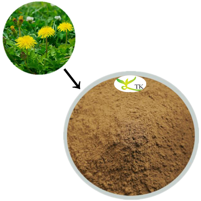 100% Natural Plant Extract Taraxacum Officinale Extract Dandelion Root Extract Powder