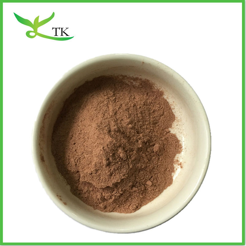 Shell Broken Red Ganoderma Lucidum Reishi Mushroom Extract Powder