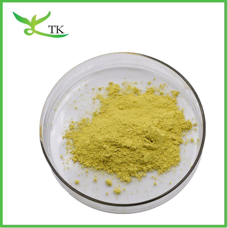 Berberis aristata extract powder Berberine HCL 97% berberine