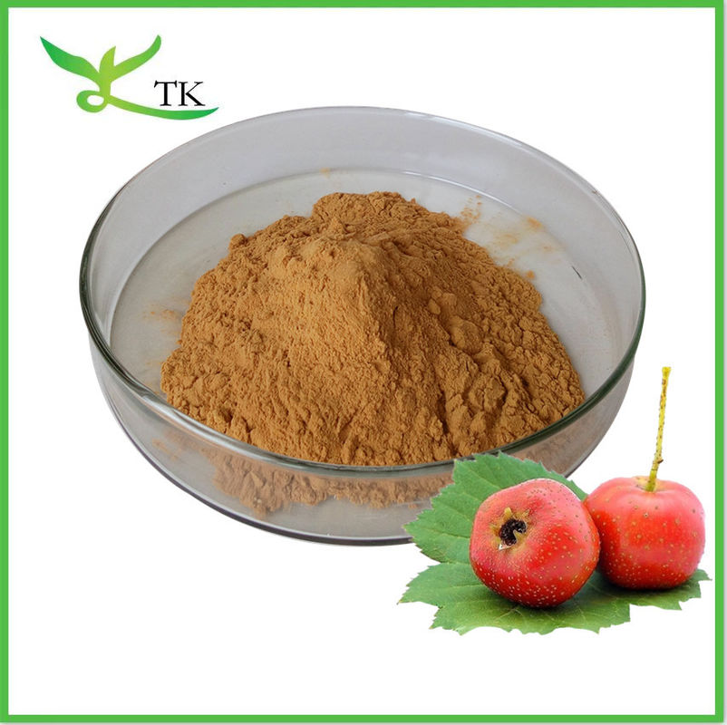 100% Natural Hawthorn Extract Powder Flavonoids Hawthorn Berry Extract food Grade