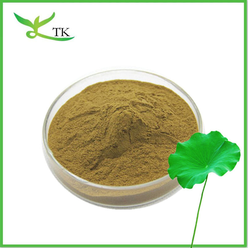Weight Loss Natural Lotus Leaf Extract Powder Nuciferine 2% 98% Lotus Leaf Powder