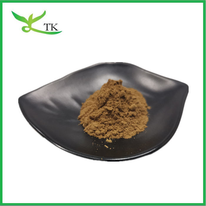 Wholesale Price Pure Natural Fenugreek Seed Extract Powder Saponin 50% In Stock