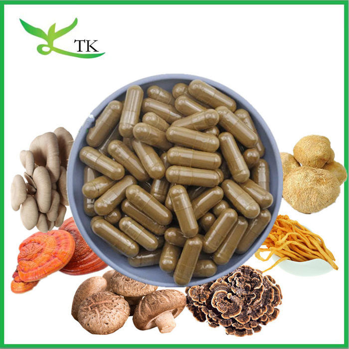 Bulk Lions Mane Cordyceps Turkey Tail Maitake Reishi Chaga Mushroom Extract Powder Capsules